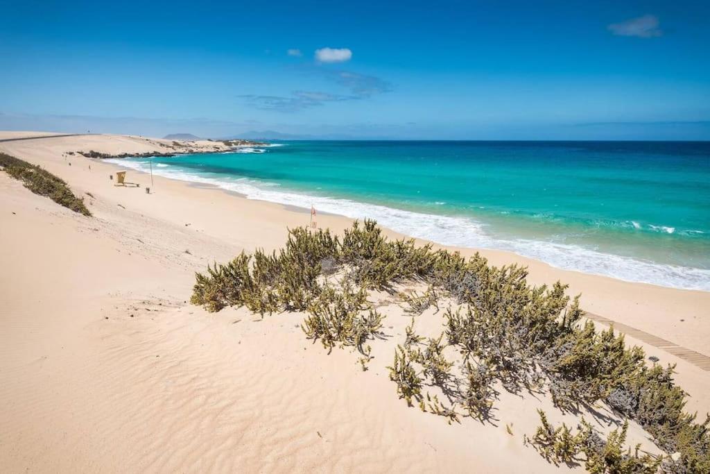 Apartamento B-Rent Alisios Playa Isla Bonita Corralejo Exterior foto